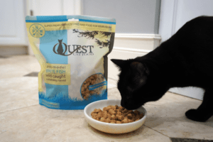 Freeze Dried Cat Food